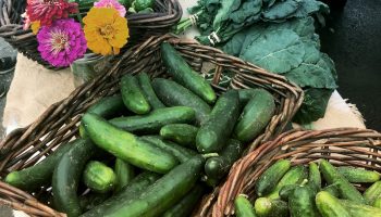 Sustainable vitality, glowing skin, revitalized and energized: Ageless Diet