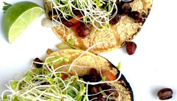 David's Tulum Black Bean Tacos