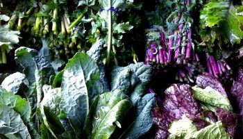 Kale Smoothie. The classic energizing smoothie