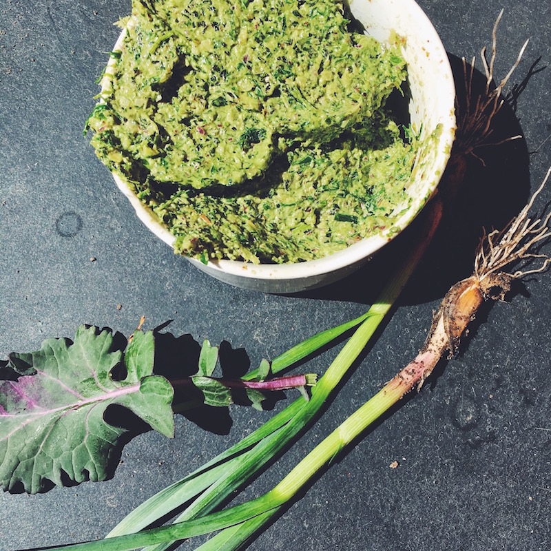 Say hello to spring with ramp and kale pesto. Ramps are wild leeks.