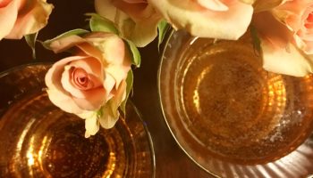 carpe diet, roses and pink champagne